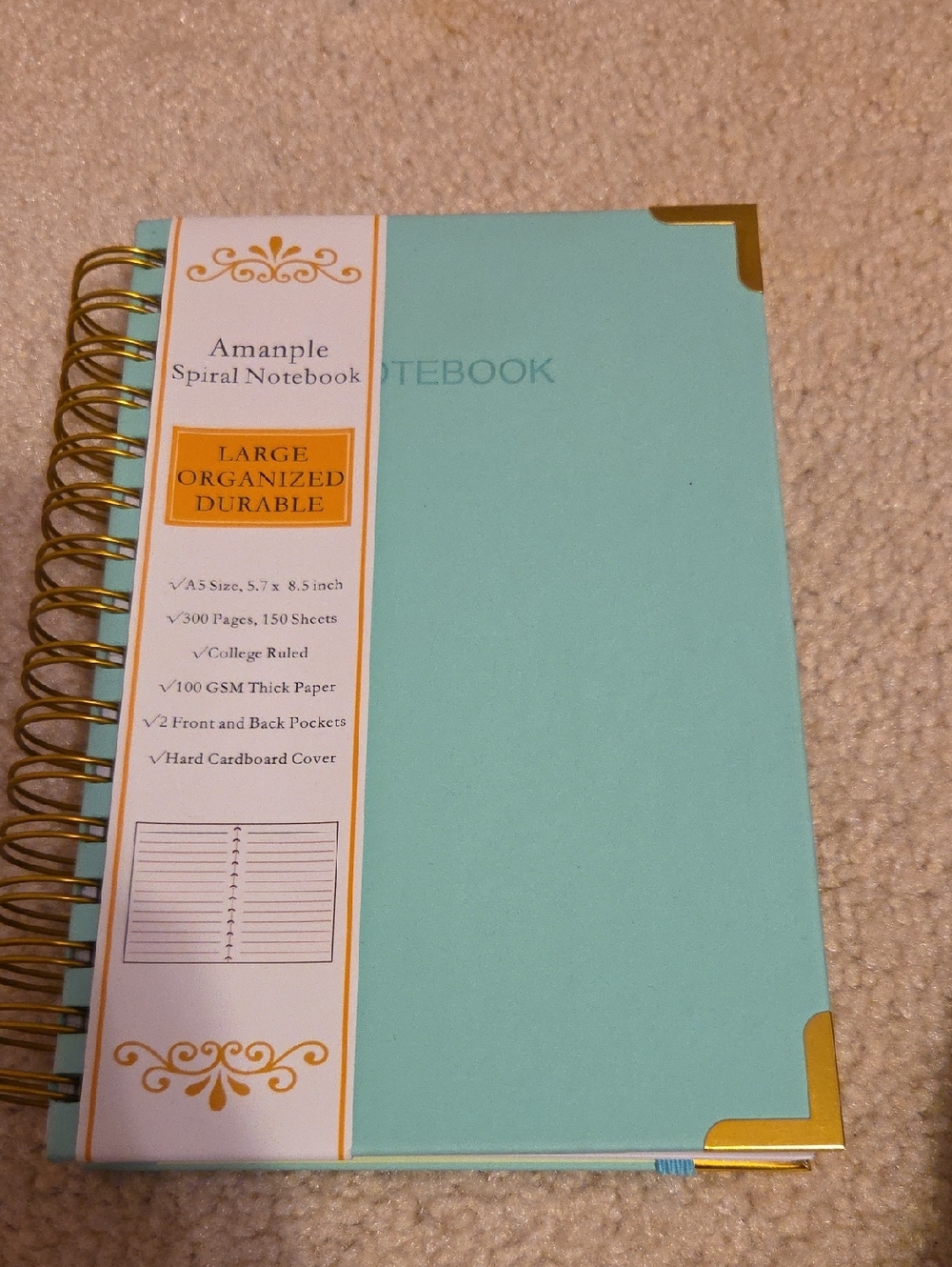 Mint Spiral Notebook with Gold Corner Accents